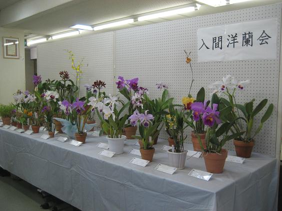 ���ƒ�̉ԂƎČ��E��