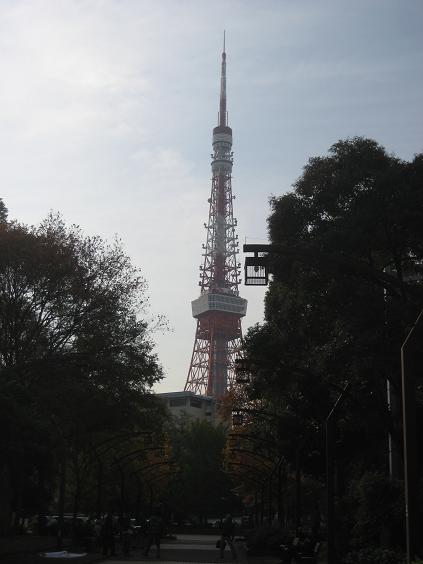 ���ƒ�̉ԂƎČ��E��