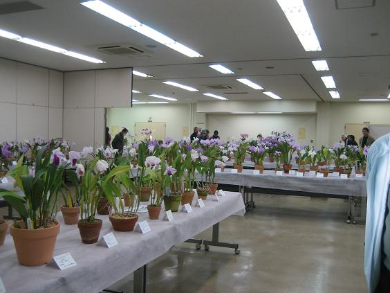 ���ƒ�̉ԂƎČ��E��