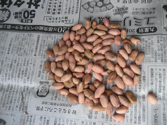 ���ƒ�̉ԂƎČ��E��