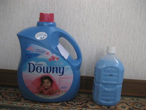 ���ƒ�̉ԂƎČ��E��