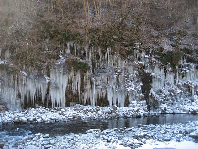 ���ƒ�̉ԂƎČ��E��