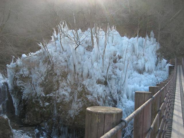 ���ƒ�̉ԂƎČ��E��