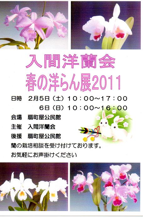 ���ƒ�̉ԂƎČ��E��