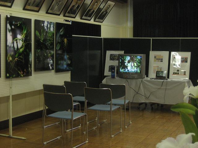 ���ƒ�̉ԂƎČ��E��