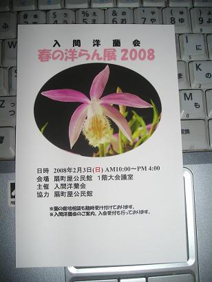 ���ƒ�̉ԂƎČ��E��