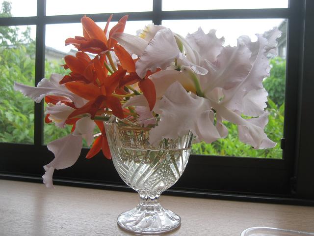 ���ƒ�̉ԂƎČ��E��