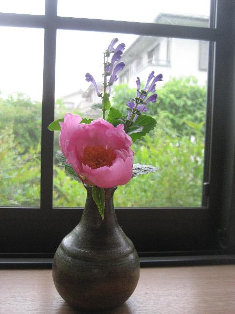 ���ƒ�̉ԂƎČ��E��