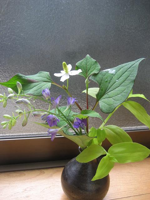 ���ƒ�̉ԂƎČ��E��