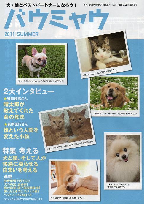 ���ƒ�̉ԂƎČ��E��