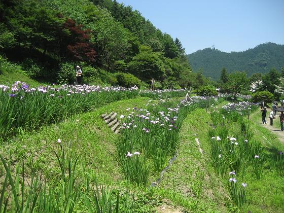 ���ƒ�̉ԂƎČ��E��