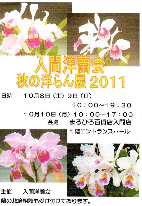 ���ƒ�̉ԂƎČ��E��