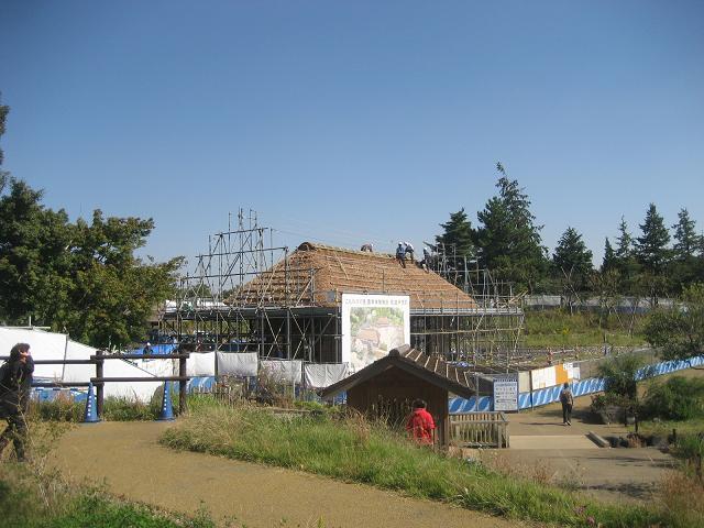 ���ƒ�̉ԂƎČ��E��