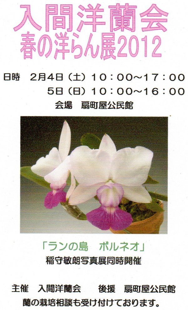 ���ƒ�̉ԂƎČ��E��