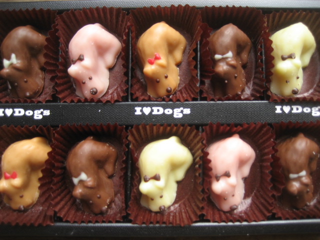 ���ƒ�̉ԂƎČ��E��