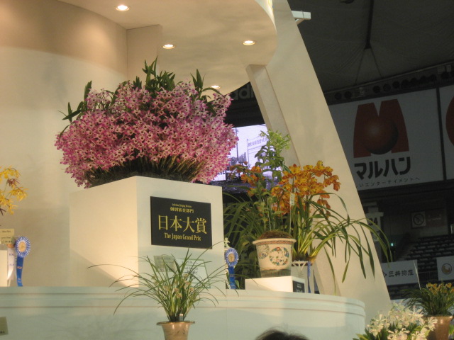 ���ƒ�̉ԂƎČ��E��