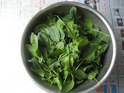 ���ƒ�̉ԂƎČ��E��