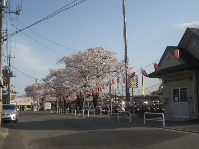 ���ƒ�̉ԂƎČ��E��