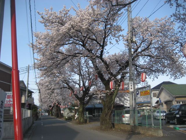 ���ƒ�̉ԂƎČ��E��