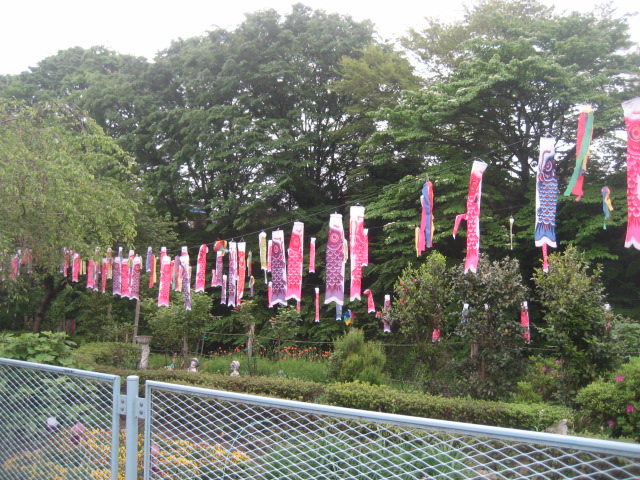 ���ƒ�̉ԂƎČ��E��