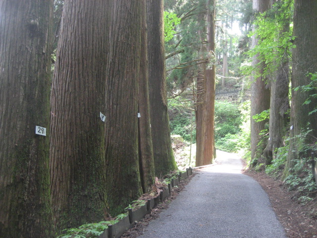 ���ƒ�̉ԂƎČ��E��