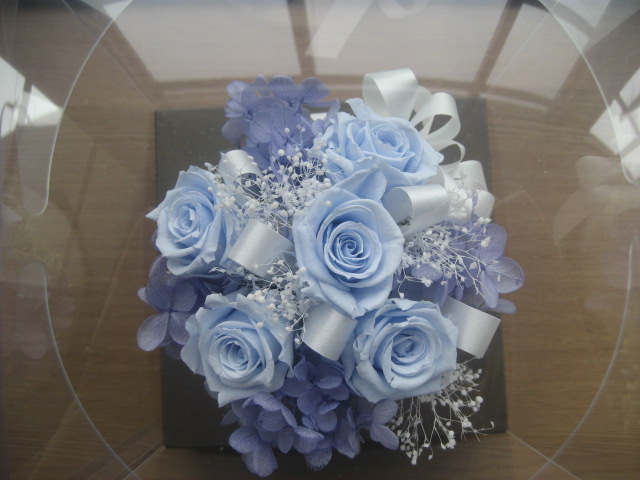 ���ƒ�̉ԂƎČ��E��