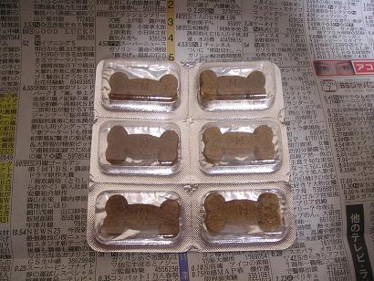 ���ƒ�̉ԂƎČ��E��