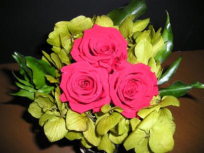 ���ƒ�̉ԂƎČ��E��