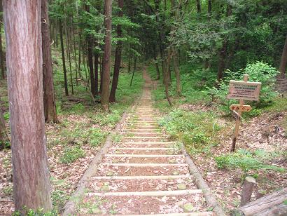 ���ƒ�̉ԂƎČ��E��