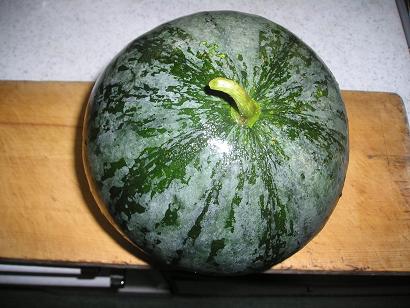 ���ƒ�̉ԂƎČ��E��