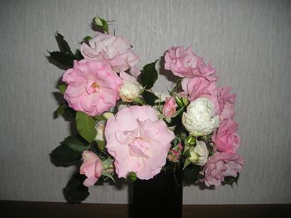 ���ƒ�̉ԂƎČ��E��