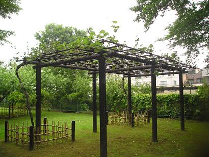 ���ƒ�̉ԂƎČ��E��