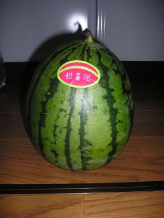 ���ƒ�̉ԂƎČ��E��