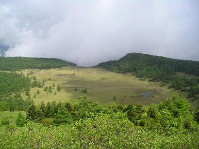 ���ƒ�̉ԂƎČ��E��