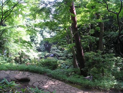 ���ƒ�̉ԂƎČ��E��