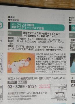 ���ƒ�̉ԂƎČ��E��