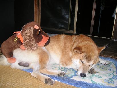 ���ƒ�̉ԂƎČ��E��