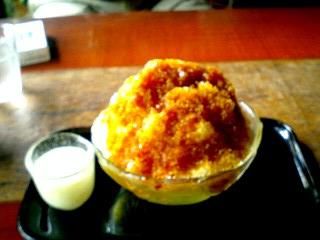 ���ƒ�̉ԂƎČ��E��