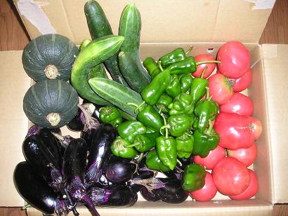 ���ƒ�̉ԂƎČ��E��