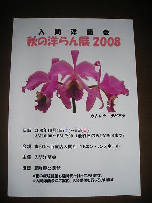 ���ƒ�̉ԂƎČ��E��