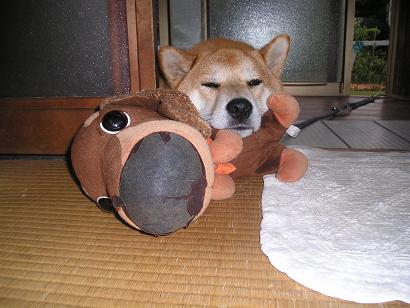 ���ƒ�̉ԂƎČ��E��