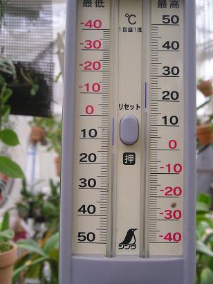 ���ƒ�̉ԂƎČ��E��