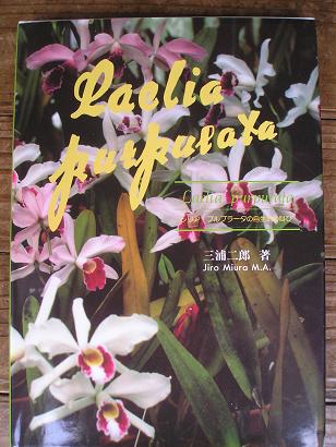 ���ƒ�̉ԂƎČ��E��