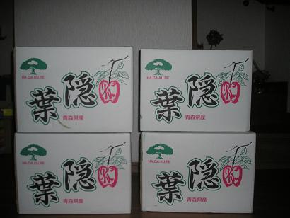 ���ƒ�̉ԂƎČ��E��