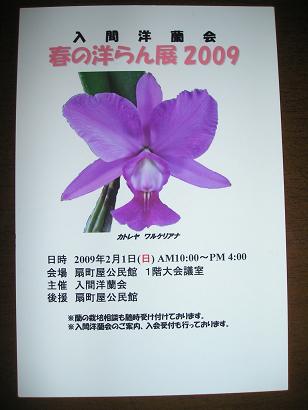 ���ƒ�̉ԂƎČ��E��