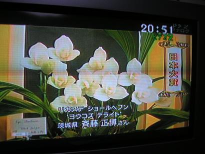 ���ƒ�̉ԂƎČ��E��