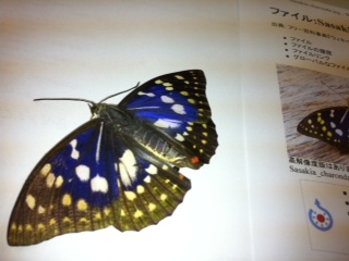 ���������R����