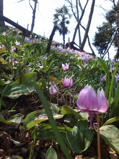 ���������R����