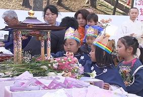 ���������R����