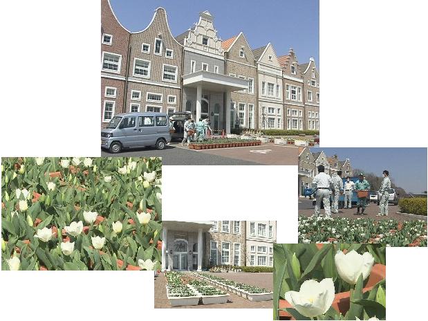 ���������R����